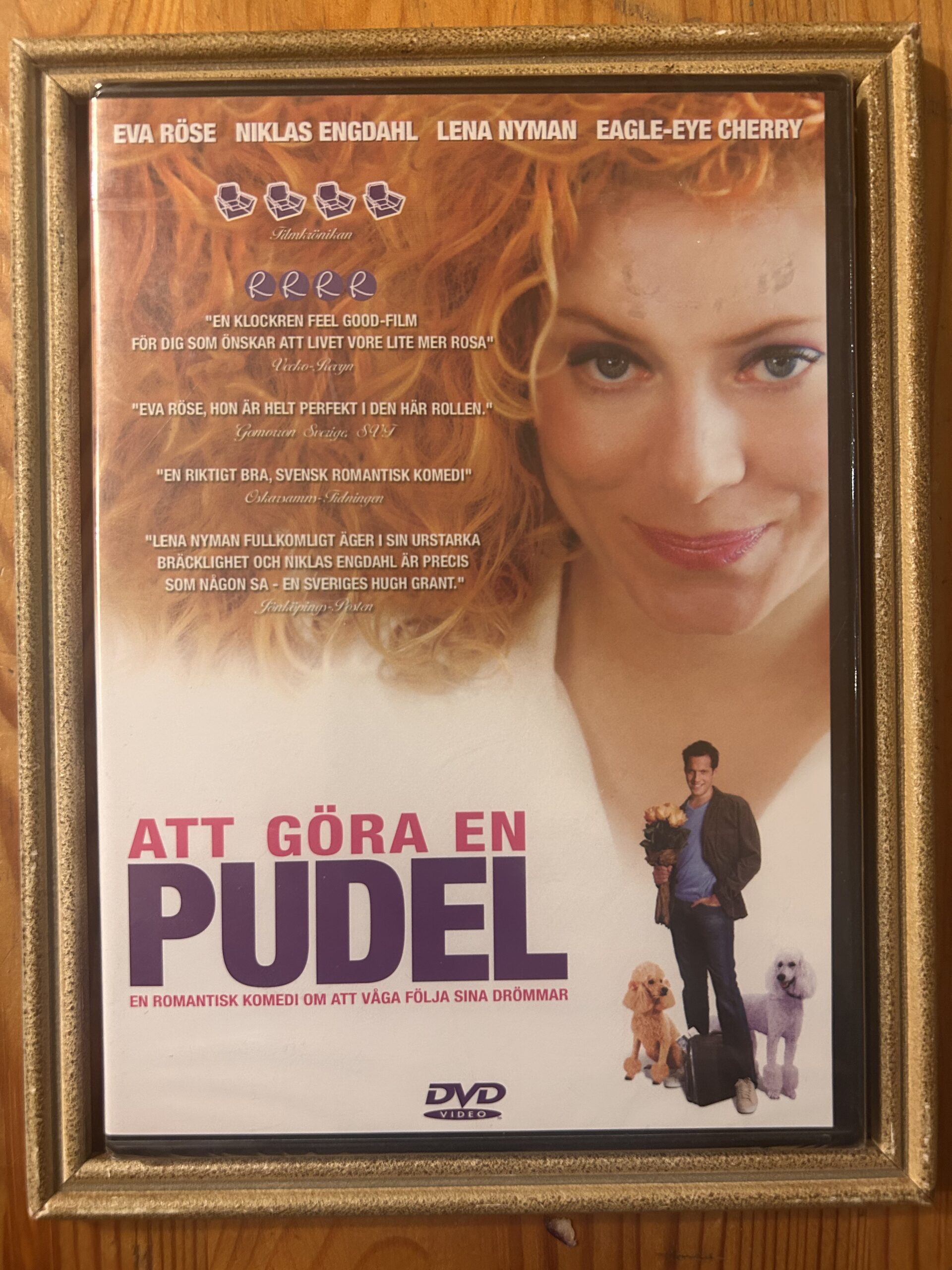 ATT GÖRA EN PUDEL (2005)