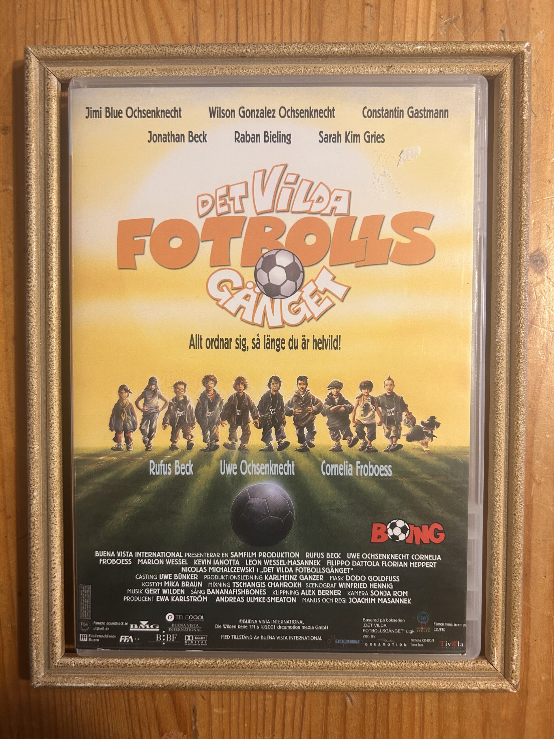 DET VILDA FOTBOLLSGÄNGET (2003)