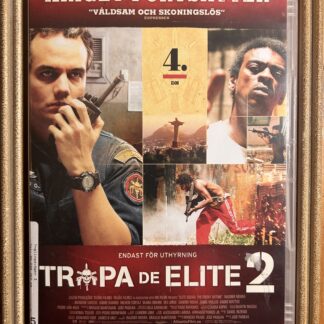 TROPA DE ELITE 2 (2010)