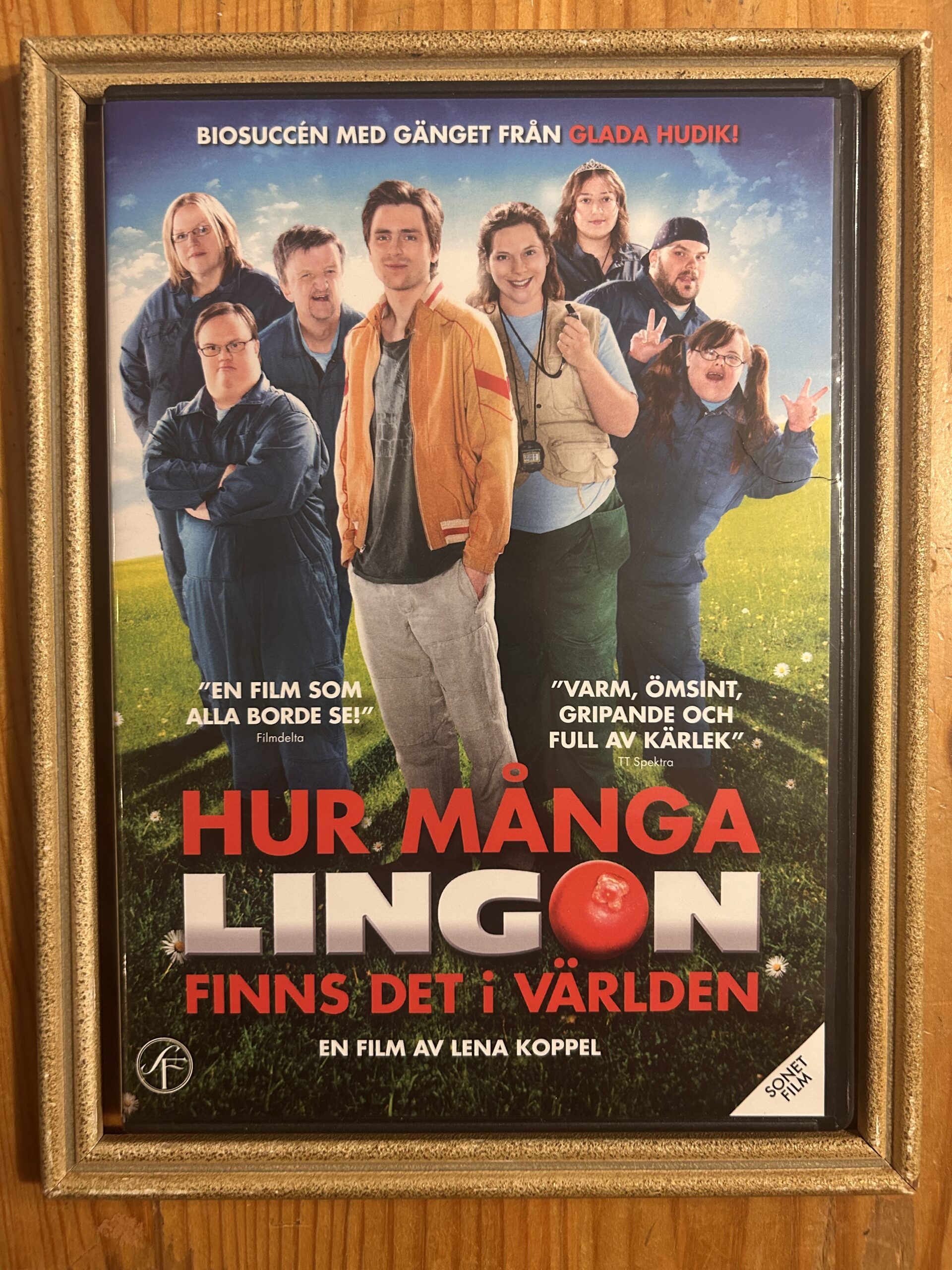 HUR MÅNGA LINGON FINNS DET I VÄRLDEN (2010)