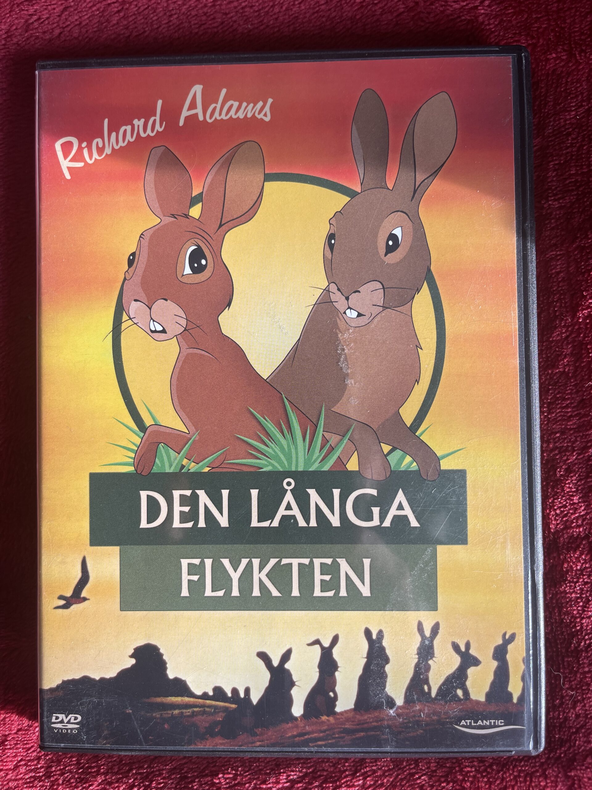 DEN LÅNGA FLYKTEN (1978)