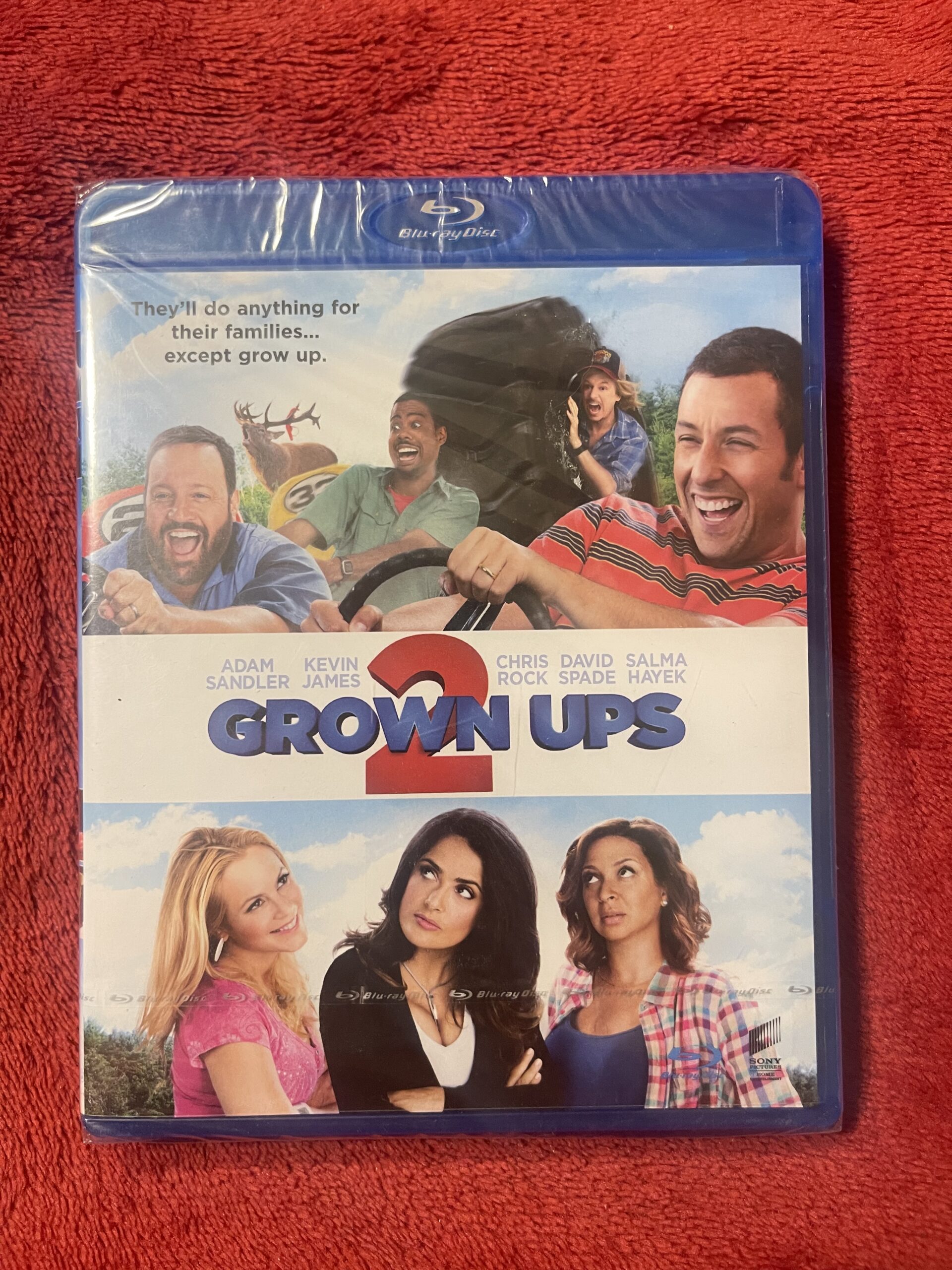 GROWN UPS 2 (2013)