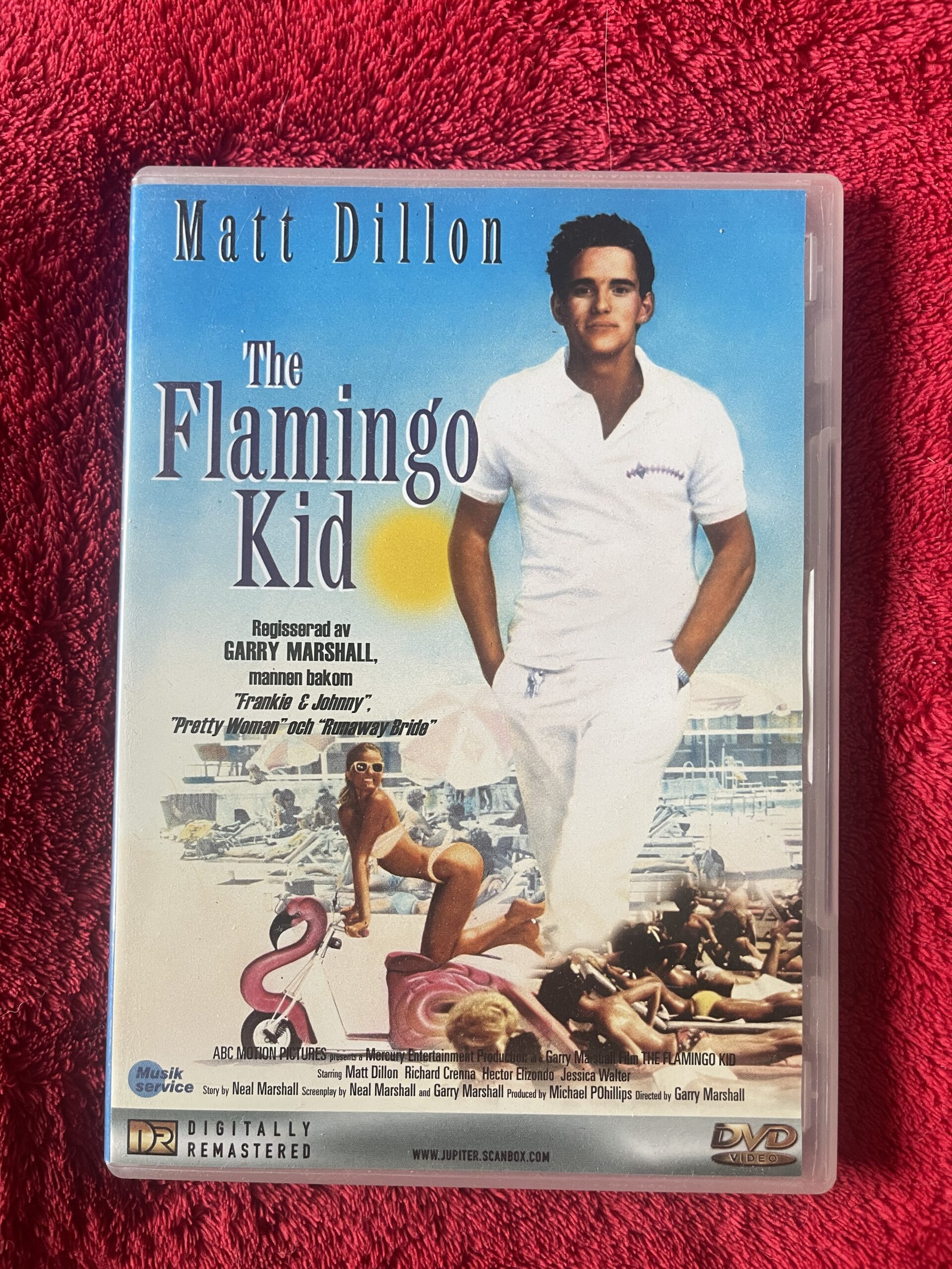 THE FLAMINGO KID (1984)